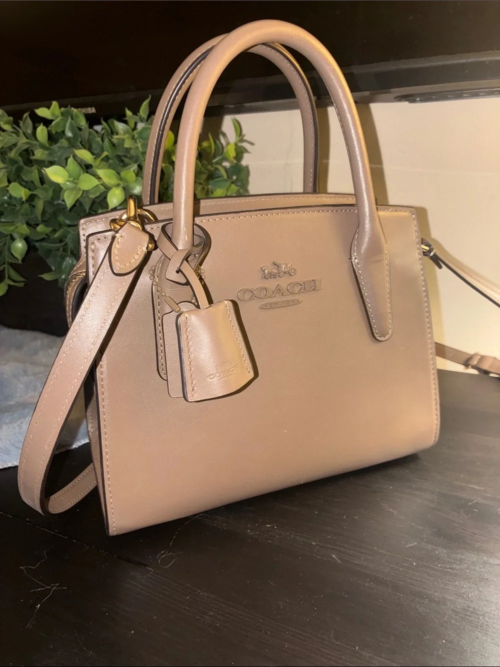 Coach Andrea Carryall Bag